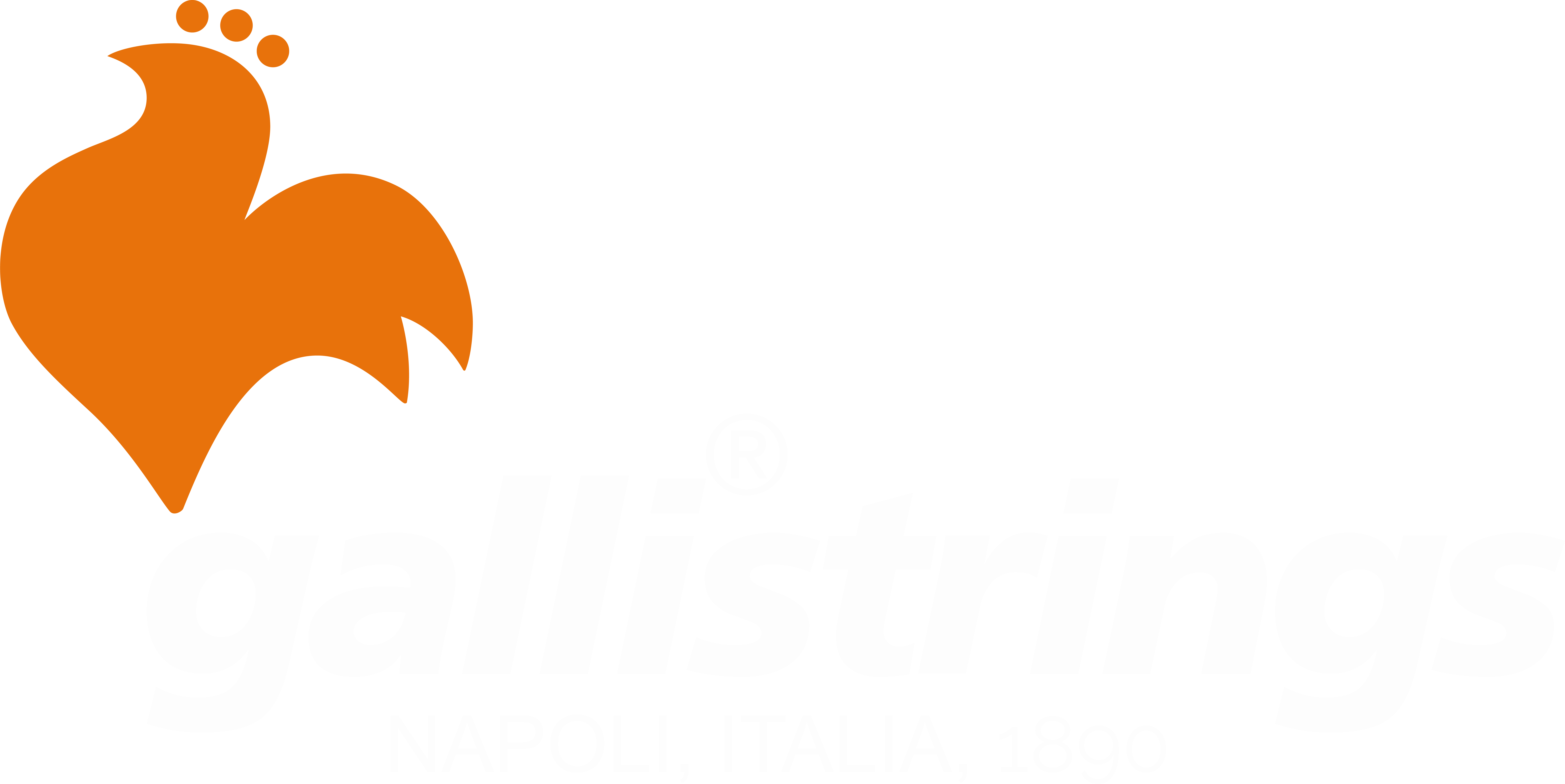 Galli Strings - Dal 1890 dalla parte dei musicisti